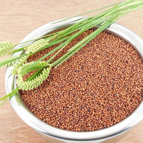 ragi
